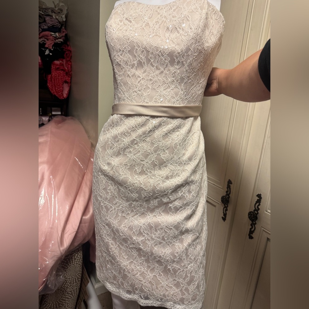 Ada James collection ivory lace embellished cocktail dress